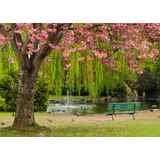 Παγκάκι στην όχθη της λίμνης