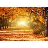 Όμορφο τοπίο στο πάρκο