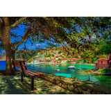 Παγκάκι κάτω από δέντρο στην Κεφαλλονιά