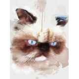 Αφηρημένο πορτέτο γάτας Siamese