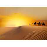 Ταξίδι στην Σαχάρα