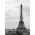 Ασπρόμαυρη εικόνα με τον πύργο του Άιφελ
