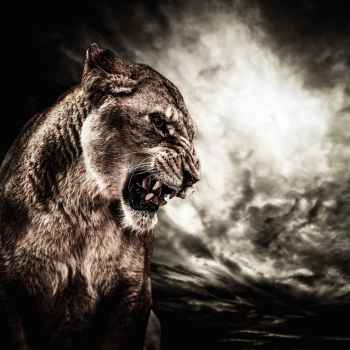 Θυμωμένο λιοντάρι