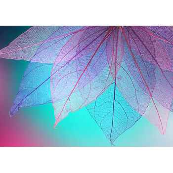 Διαφανές πολύχρωμα φύλλα