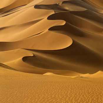 Αμμόλοφοι στη Σαχάρα