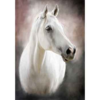 Πορτρέτο λευκού αλόγου