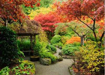 Φθινοπωρινός κήπος