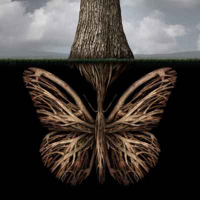Δημιουργική ρίζα δέντρου σε σχήμα πεταλούδας