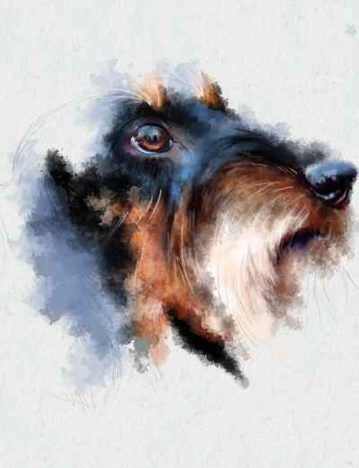 Πορτρέτο σκύλου