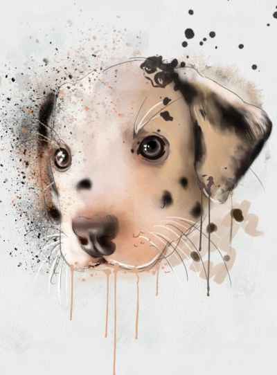 Αφηρημένο πορτρέτο σκύλου Δαλματίας