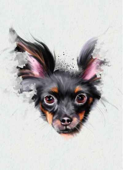 Αφηρημένο πορτρέτο σκύλου