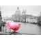 Ροζ περιστέρι στην γέφυρα της Βενετίας